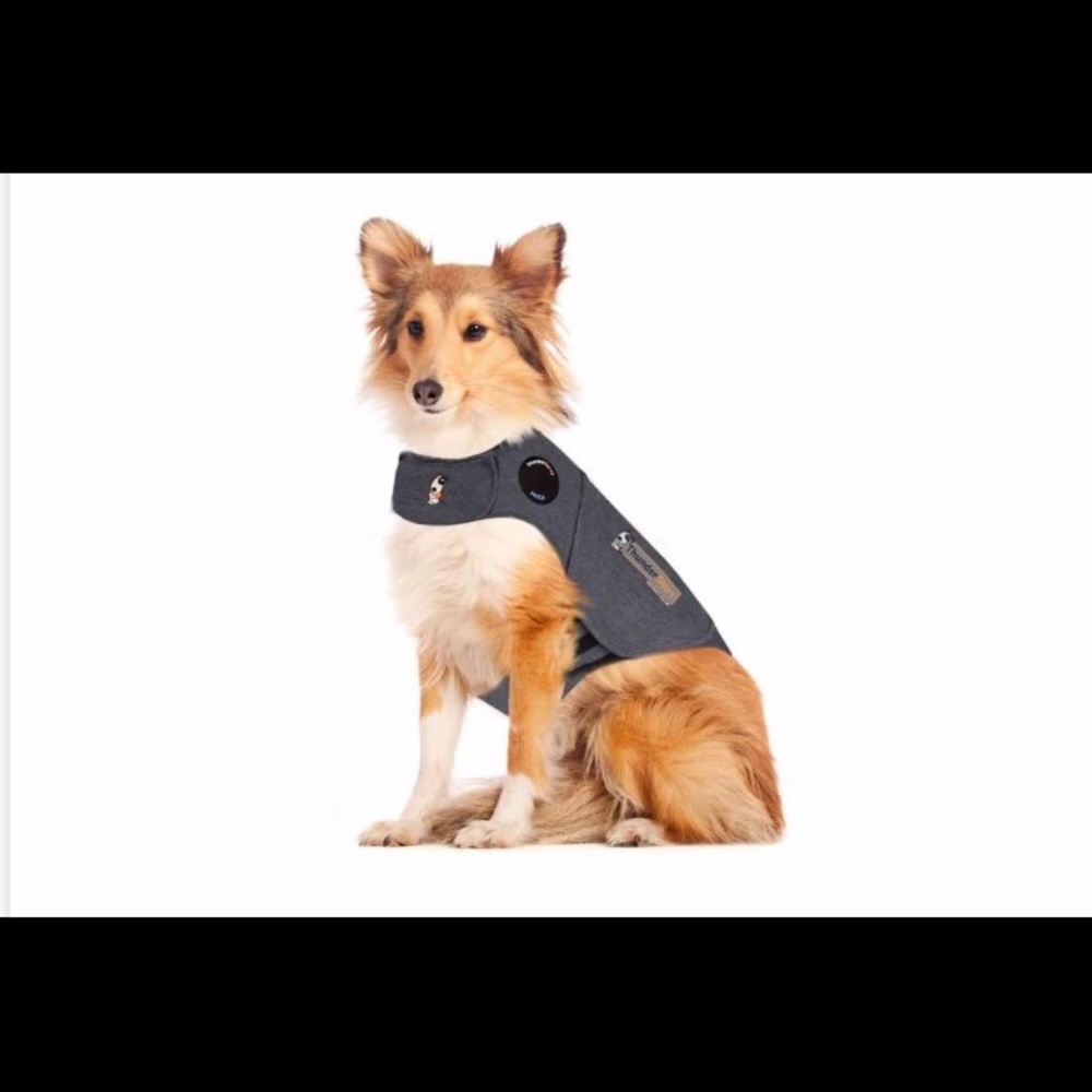 Thundershirt for L dog